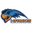 Springfield Lakes Hawks