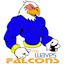 Falcons Senior 